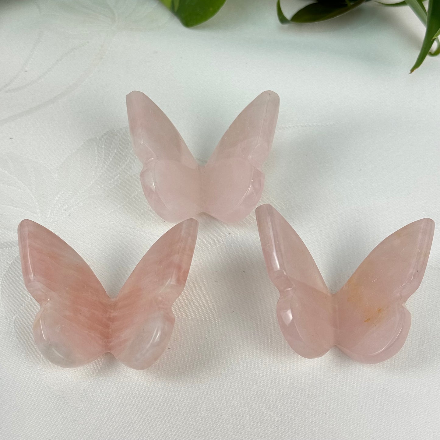 Rose Quartz 3D Butterfly