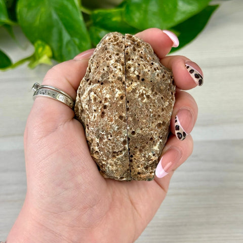 2026 Agate Bay Agate Pairs (Listing 1/3!) A 53 - Kenna's Crystals from TikTok