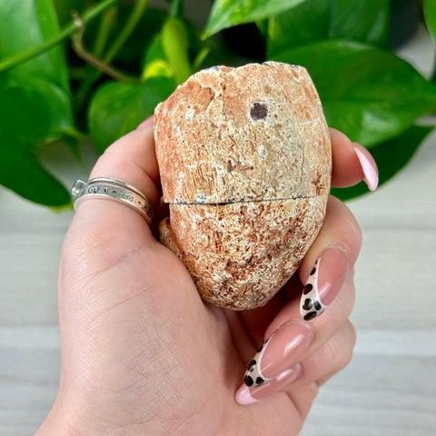 2026 Agate Bay Agate Pairs (Listing 1/3!) E2 49 - Kenna's Crystals from TikTok