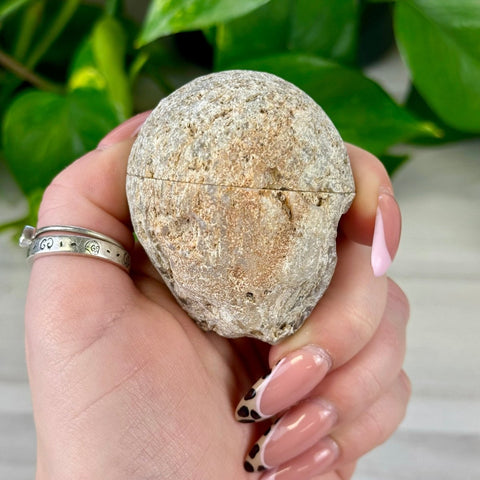 2026 Agate Bay Agate Pairs (Listing 1/3!) A 54 - Kenna's Crystals from TikTok