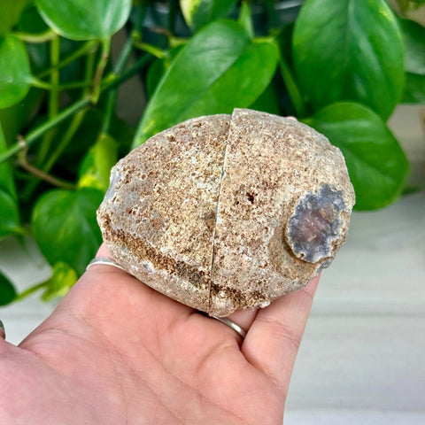 2026 Agate Bay Agate Pairs (Listing 1/3!) E2 40 - Kenna's Crystals from TikTok