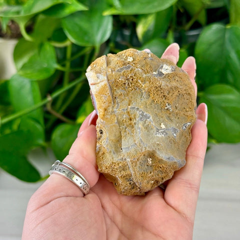 2026 Agate Bay Agate Pairs (Listing 1/3!) E2 45 - Kenna's Crystals from TikTok