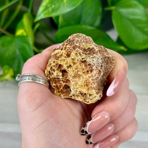 2026 Agate Bay Agate Pairs (Listing 1/3!) G2 66 - Kenna's Crystals from TikTok