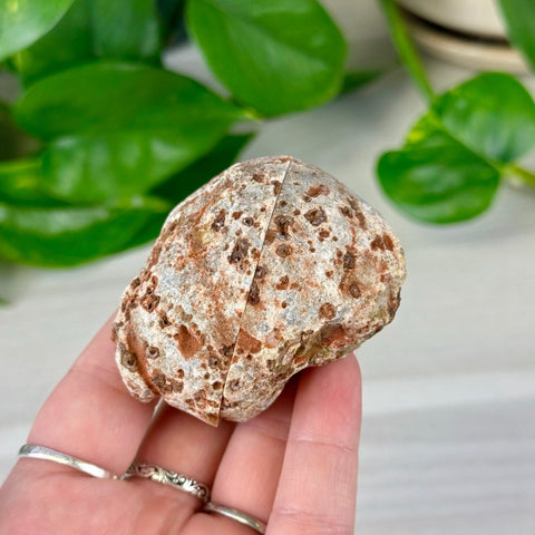 2026 Agate Bay Agate Pairs (Listing 1/3!) J2 72 - Kenna's Crystals from TikTok