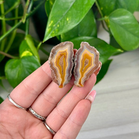 2026 Agate Bay Agate Pairs (Listing 2/3!) D3 18 - Kenna's Crystals from TikTok