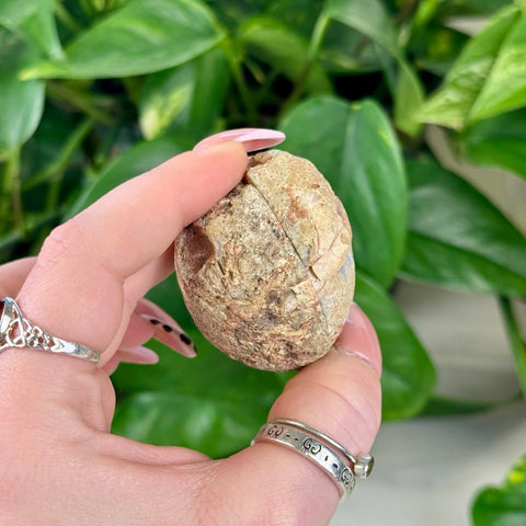 2026 Agate Bay Agate Pairs (Listing 2/3!) X3 47 - Kenna's Crystals from TikTok