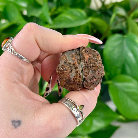 2026 Agate Bay Agate Pairs (Listing 3/3!) K5 60 - Kenna's Crystals from TikTok