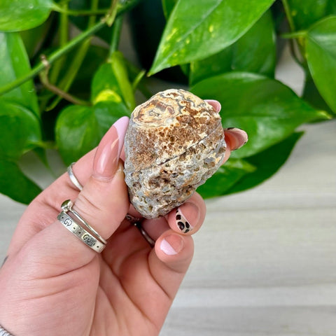 2026 Agate Bay Agate Pairs (Listing 3/3!) K5 69 - Kenna's Crystals from TikTok