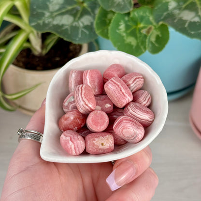 Rhodochrosite Forbidden Jelly Bean