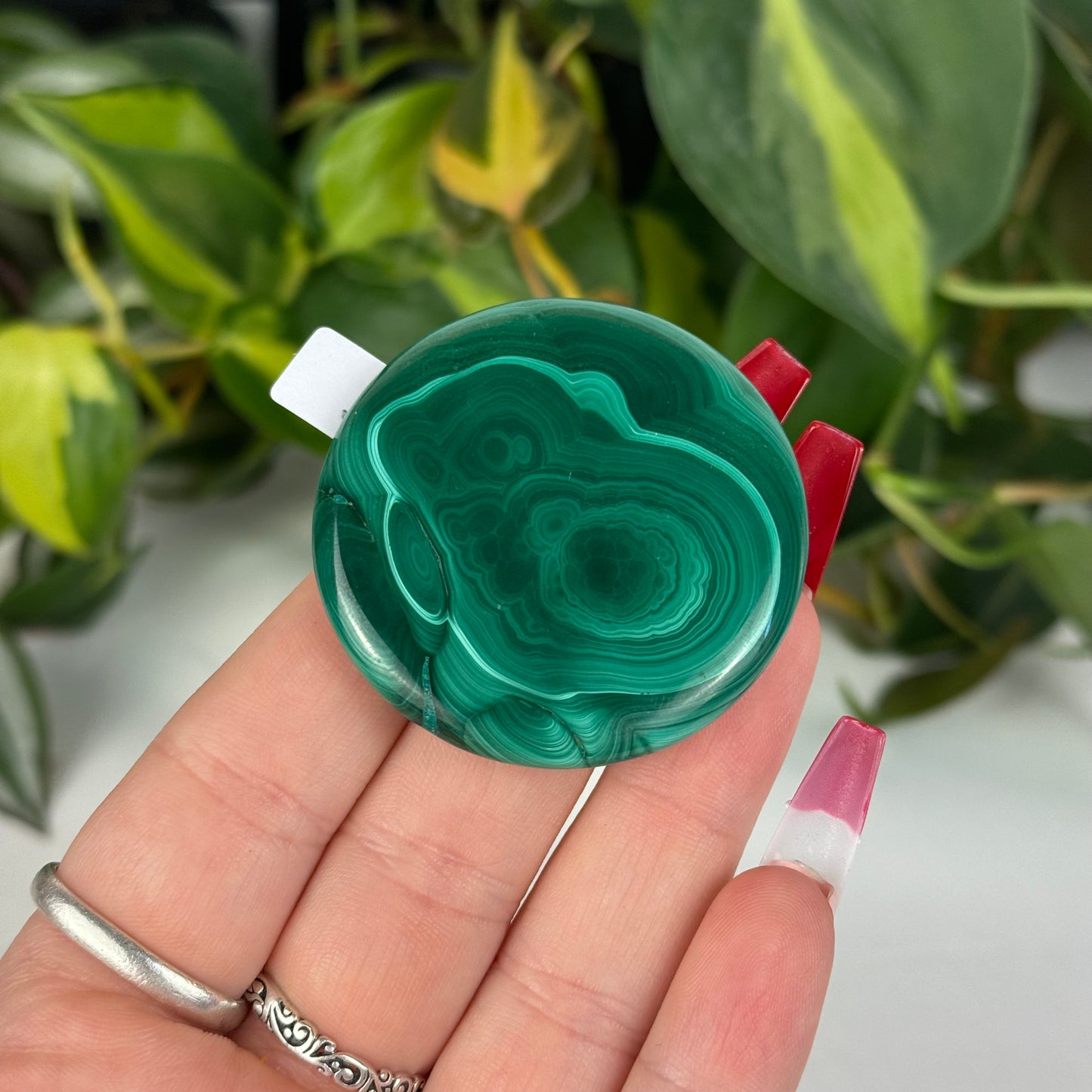 Mini Malachite Cookie