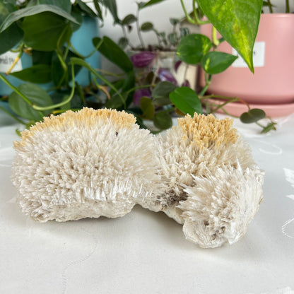 Mordenite w/ Stilbite Specimen