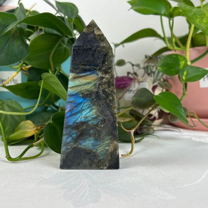 Labradorite Tower