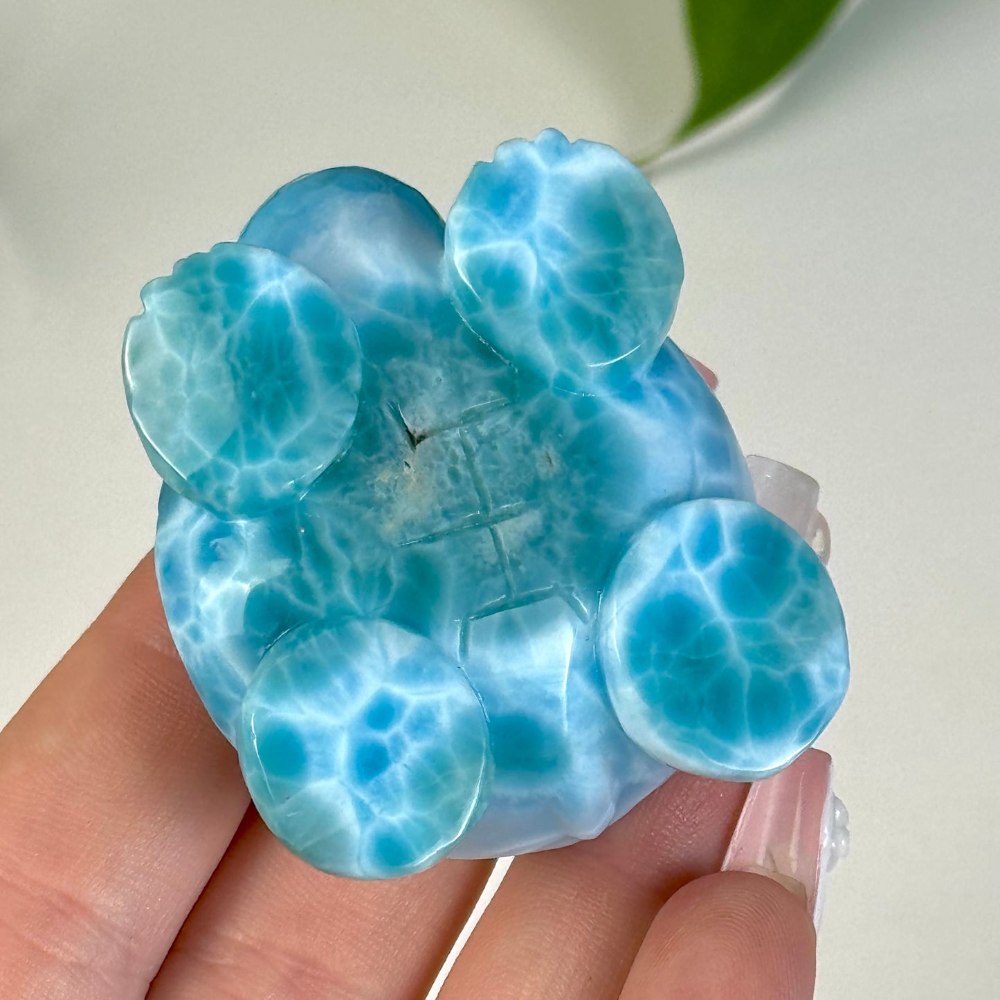 Large Larimar Turtle - B