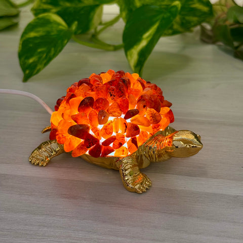 Turtle Lamp - Carnelian