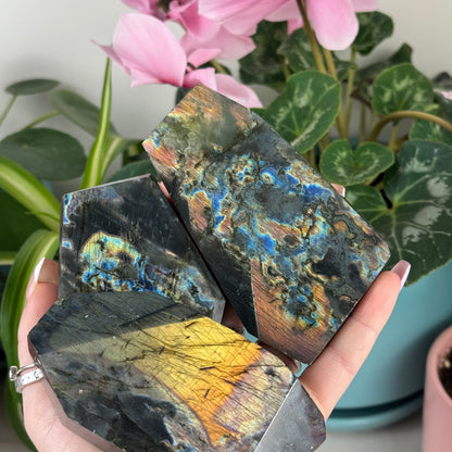Imperfect Spectrolite Free Form