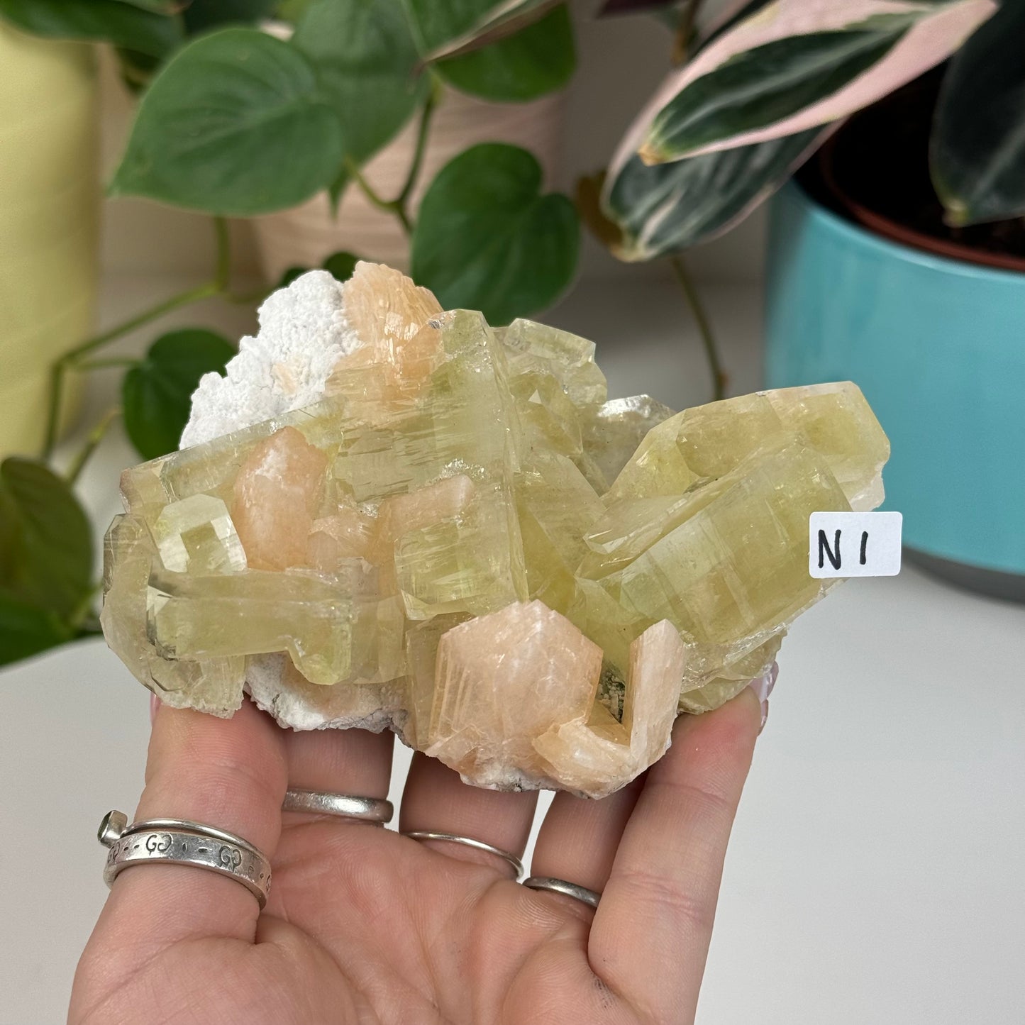 Green Apple Apophyllite