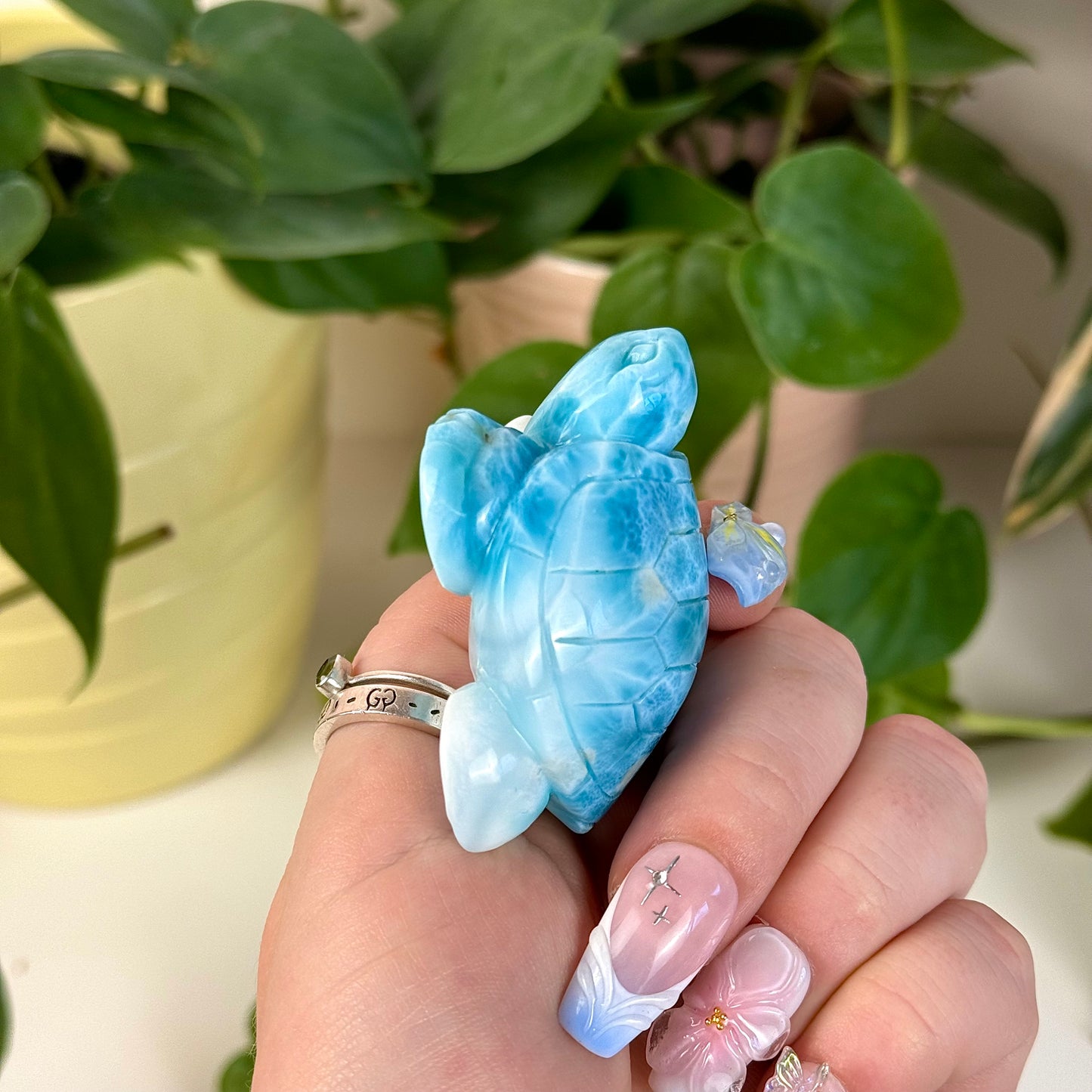 Large Larimar Turtle - A