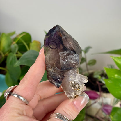 Enhydro Shangaan Amethyst
