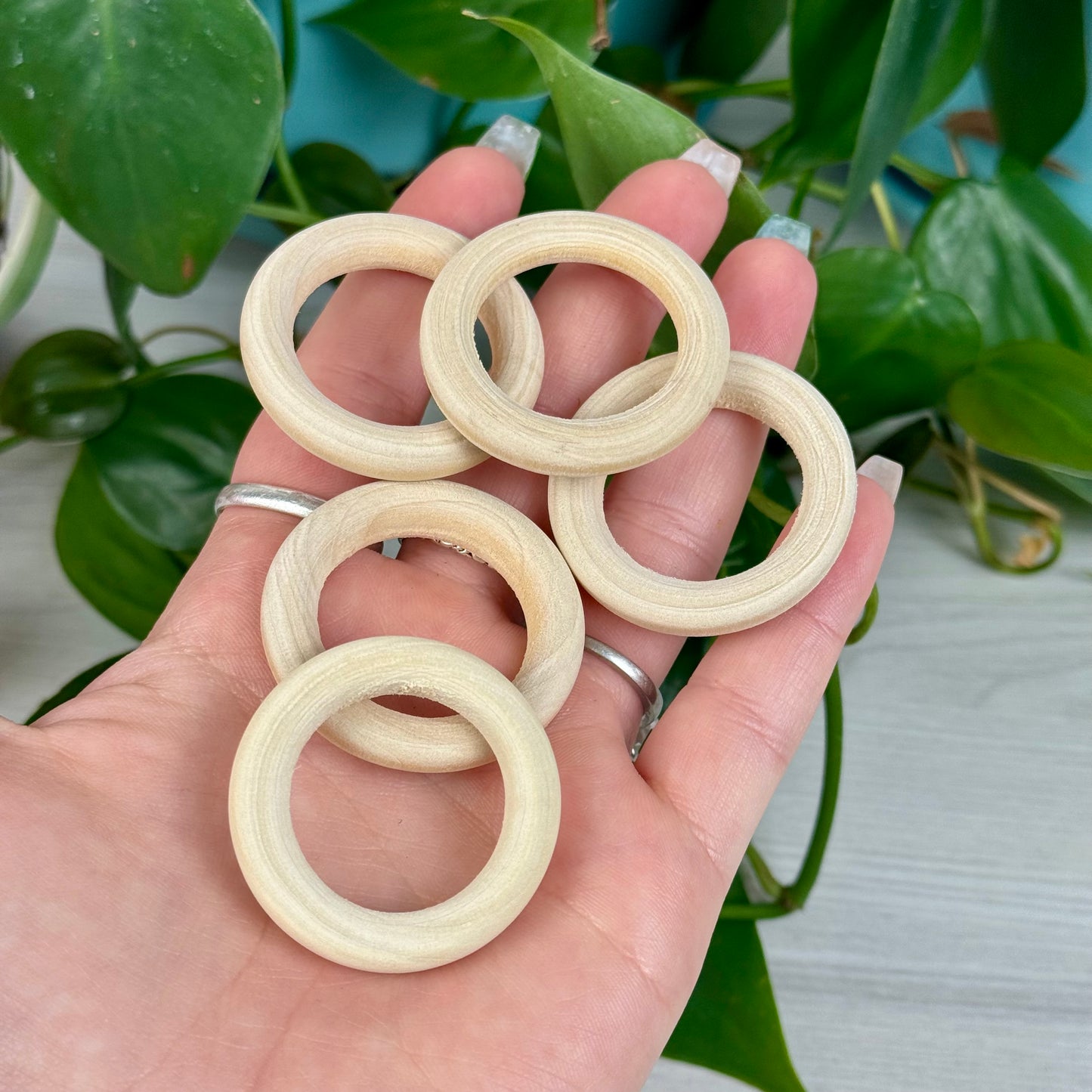 Cheerio Sphere Stands (5-Pack)