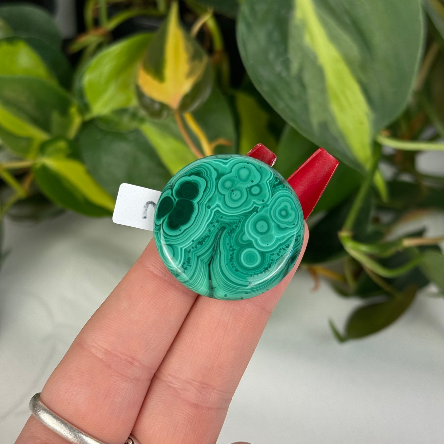 Mini Malachite Cookie