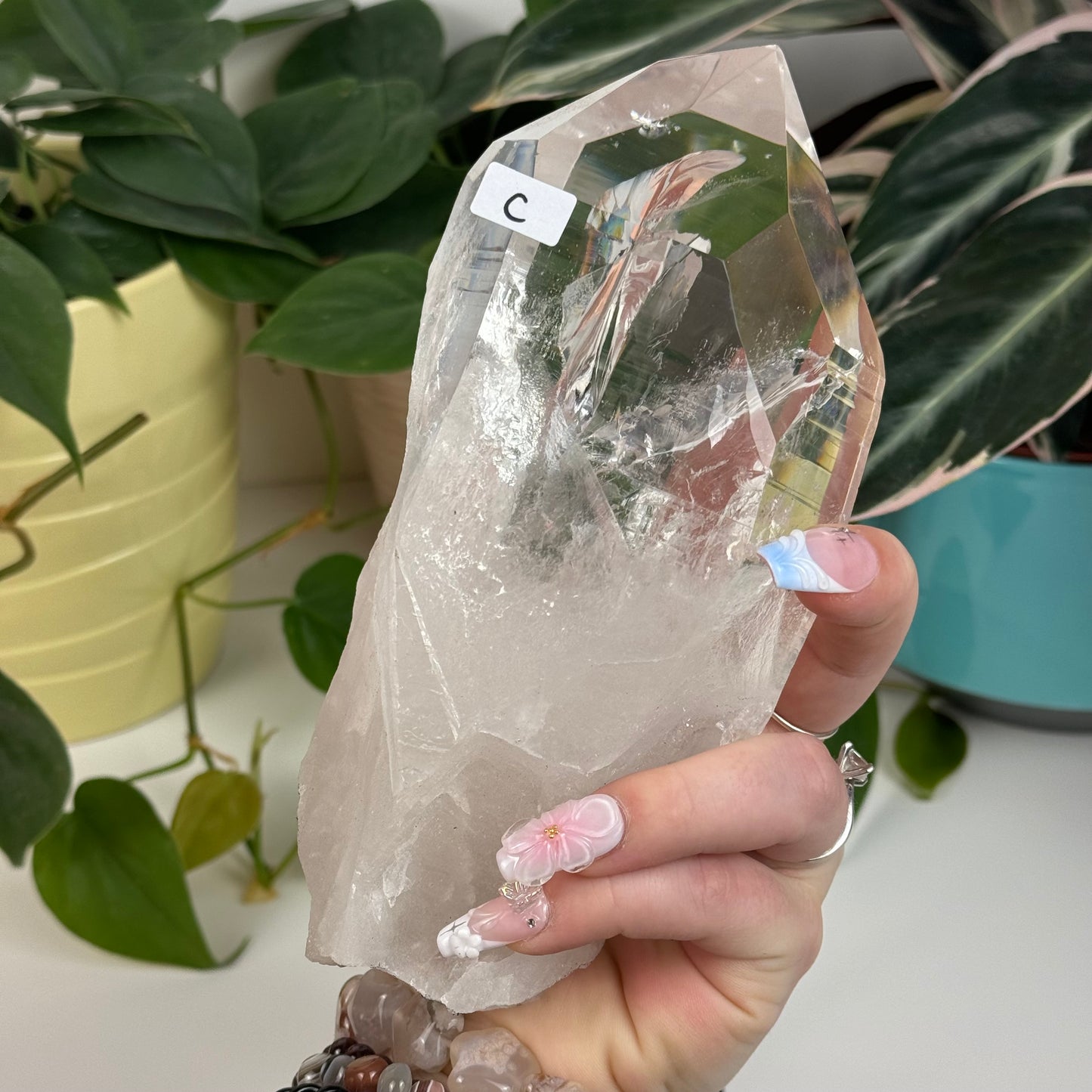 Incredible Lemurian Quartz (W/ Custom Stand) - C