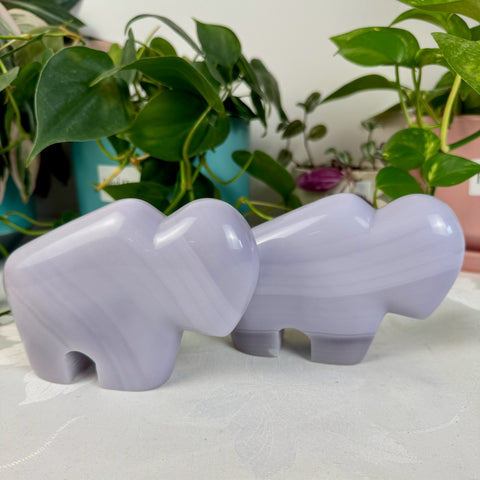 Lavender Fluorite Bison