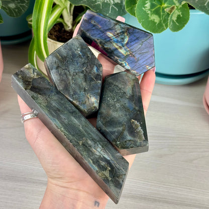 Imperfect Spectrolite Free Form