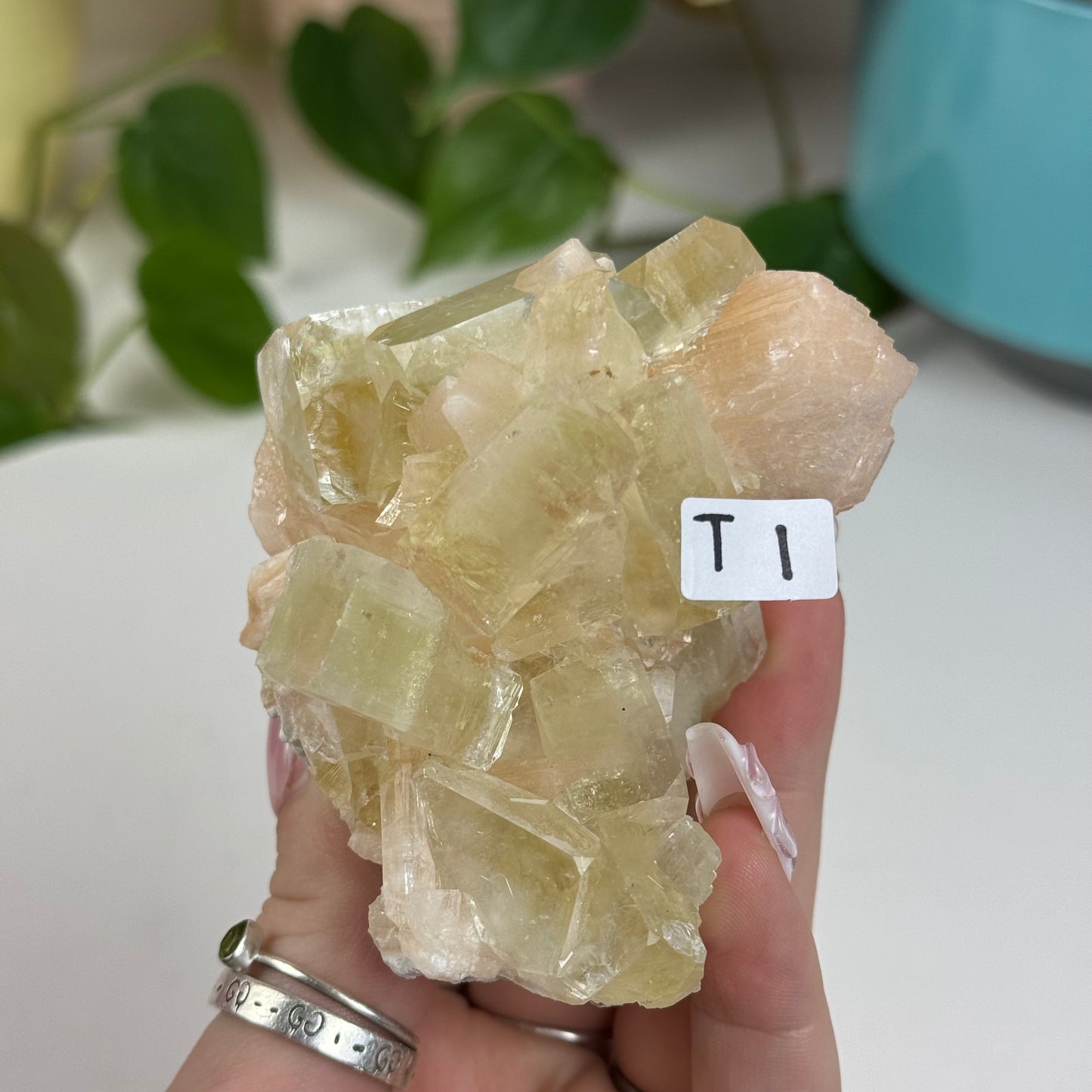 Green Apple Apophyllite