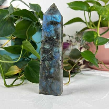 Labradorite Tower