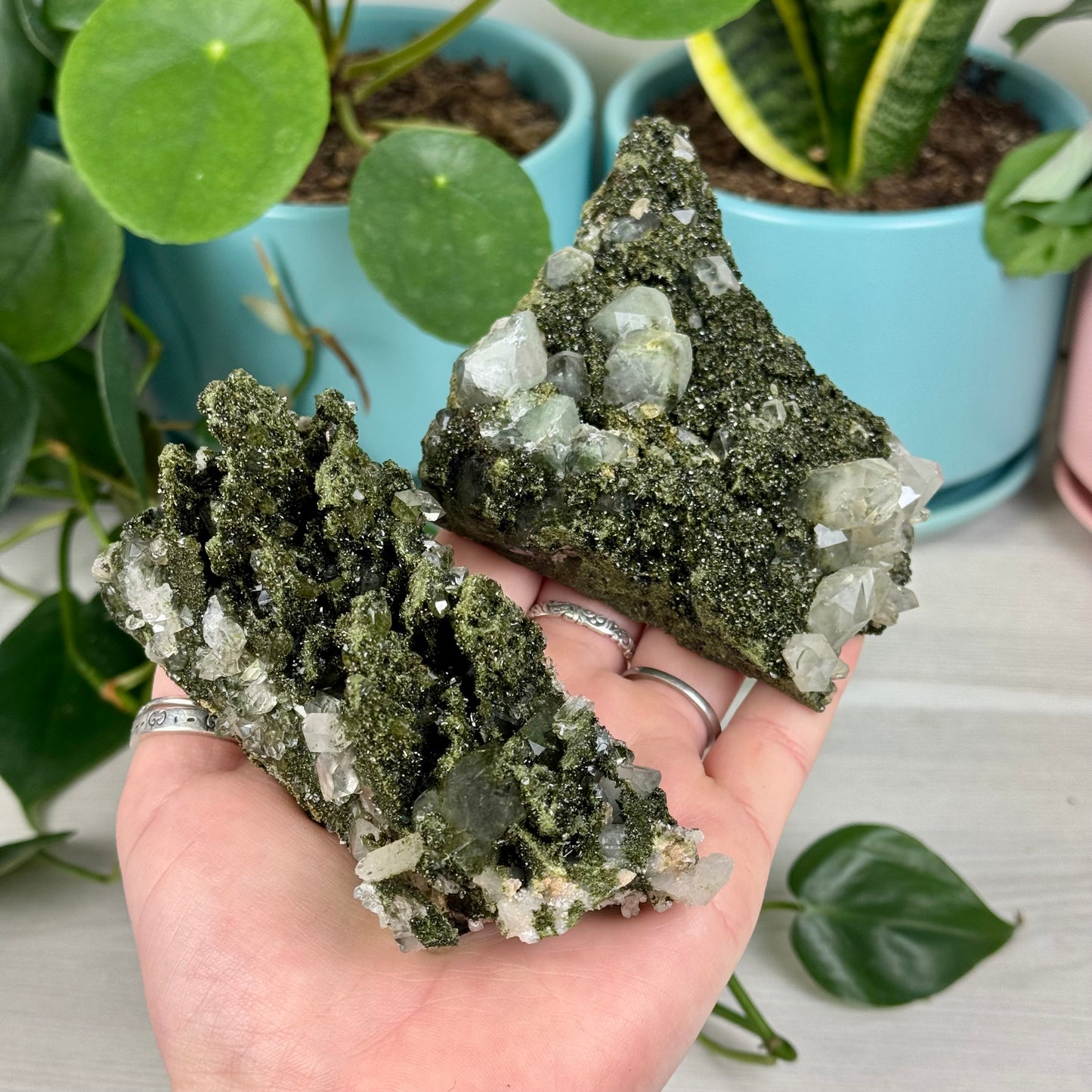 Forest Quartz