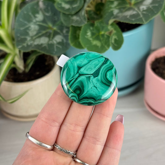 Malachite Cookie - W1