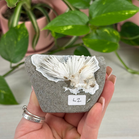 Scolecite Specimen