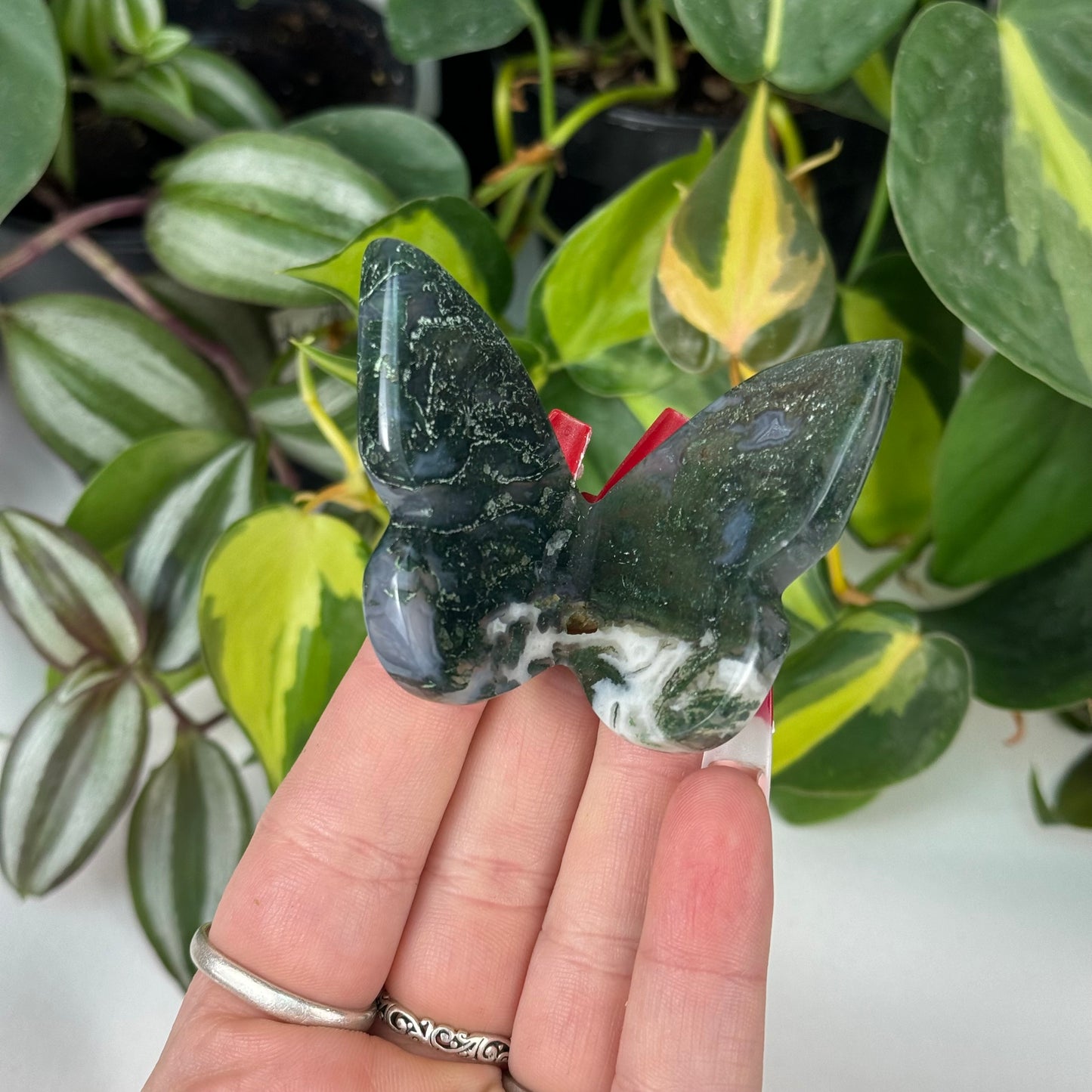 Imperfect Moss Agate 3D Butterfly