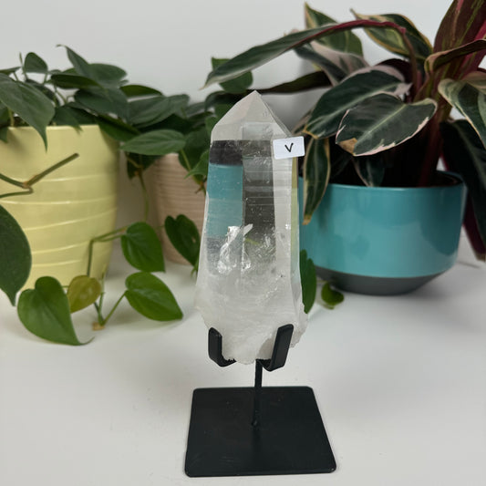 Incredible Lemurian Quartz (W/ Custom Stand) - V