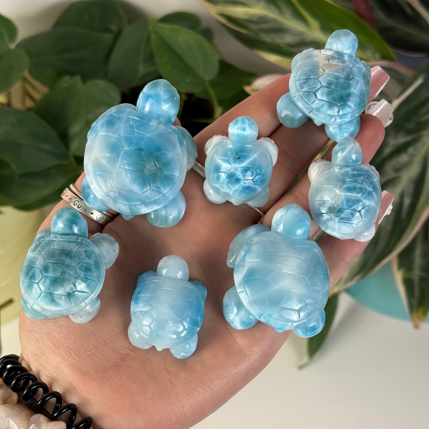 Medium Larimar Turtle