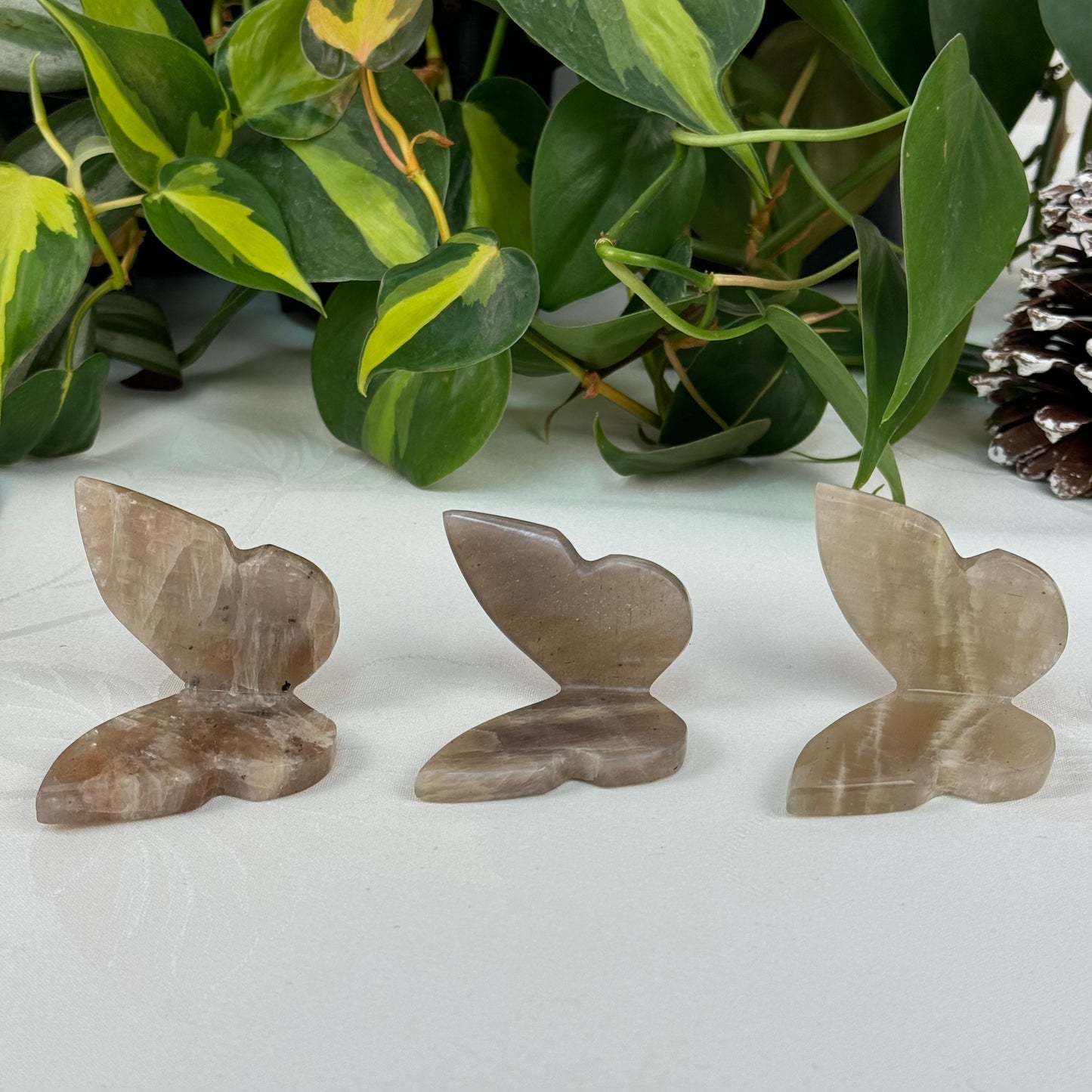 Sunstone In Moonstone 3D Butterfly