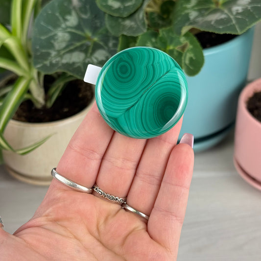 Malachite Cookie - Q1