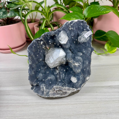 Deep Blue Chalcedony With Apophyllite