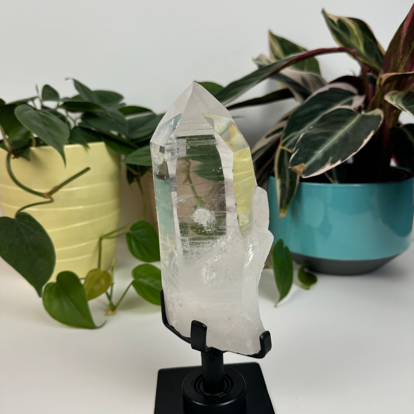 Incredible Lemurian Quartz (W/ Custom Stand) - H