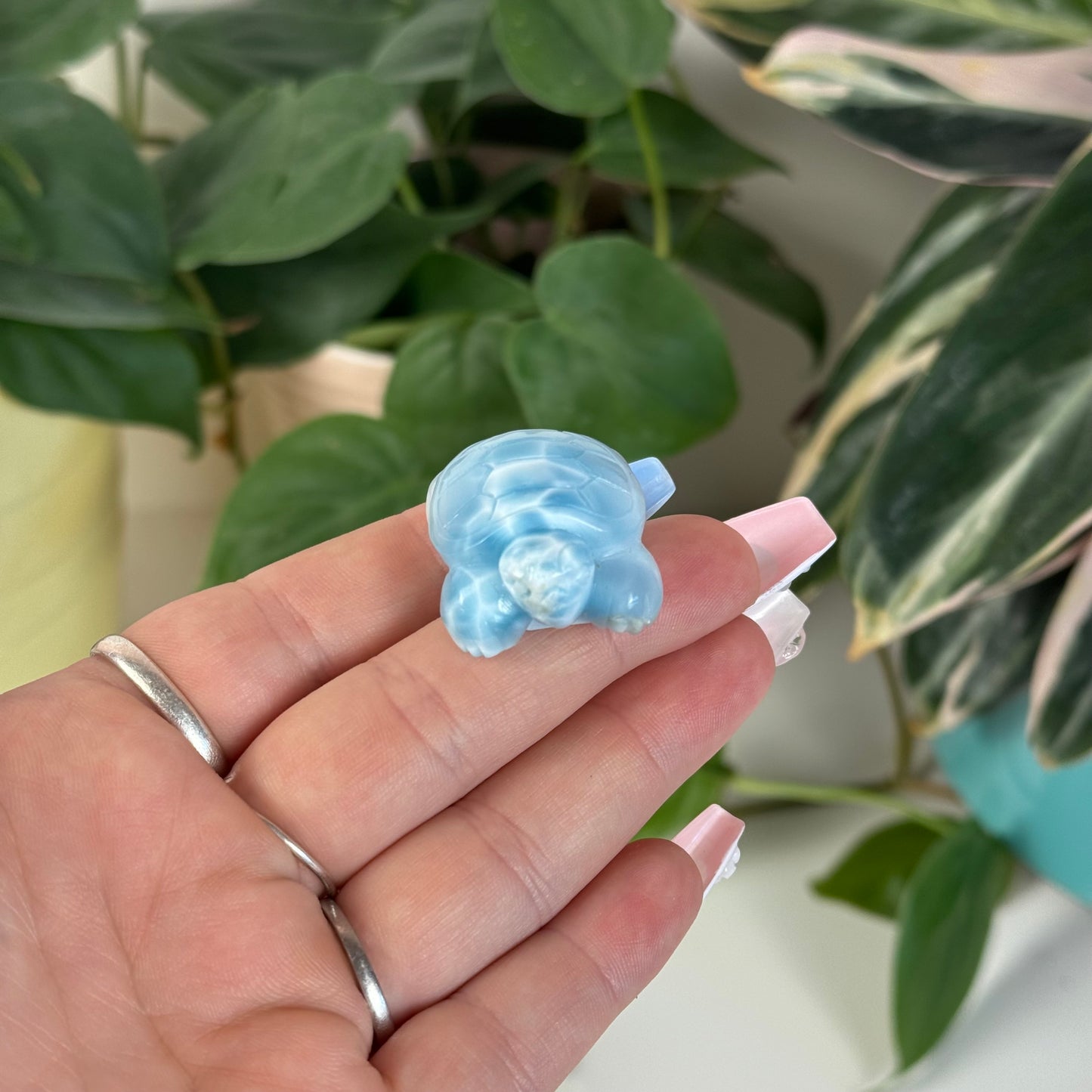 Small Larimar Turtle