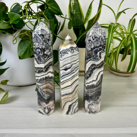 Zebra Jasper Tower
