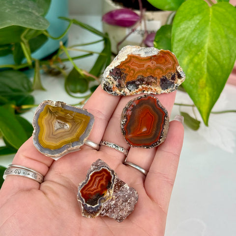 Laguna Agate