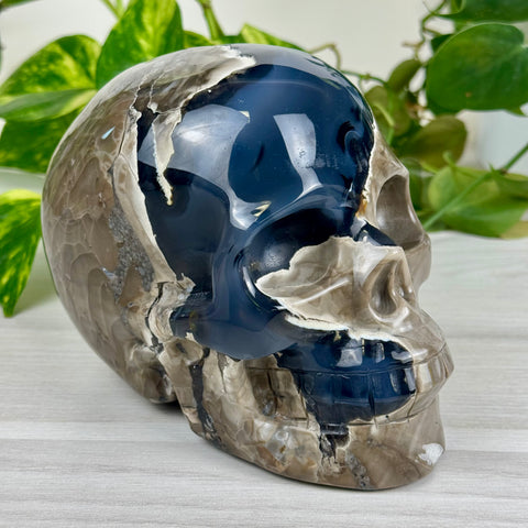 Volcano Agate Skull (UV Reactive)