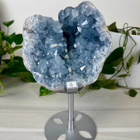 Glacier Blue Celestite Geode (W/ Custom Stand)