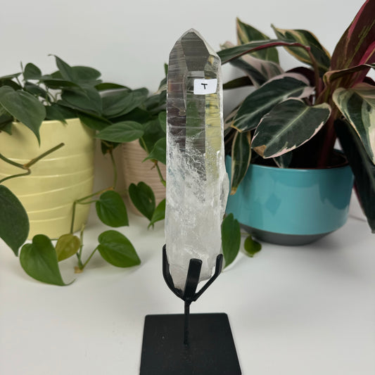 Incredible Lemurian Quartz (W/ Custom Stand) - T