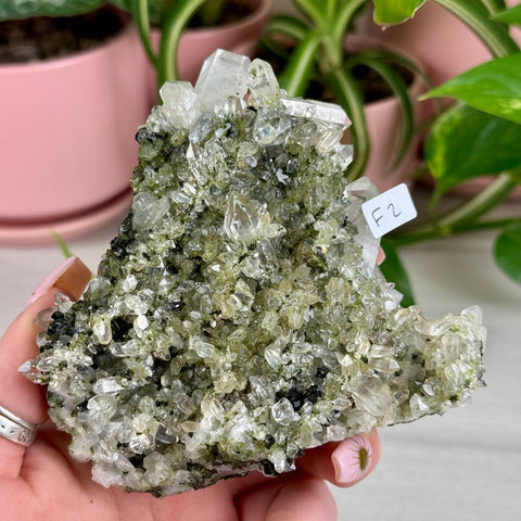 Black Epidote & Chlorite Quartz Specimen (Forest Quartz)