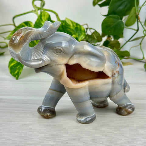 Statement Druzy Agate Elephant - Dahlia