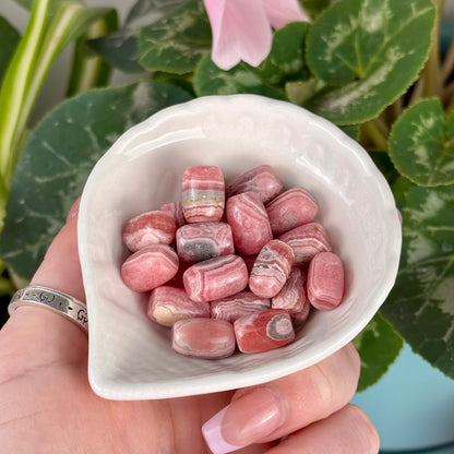 Rhodochrosite Forbidden Jelly Bean