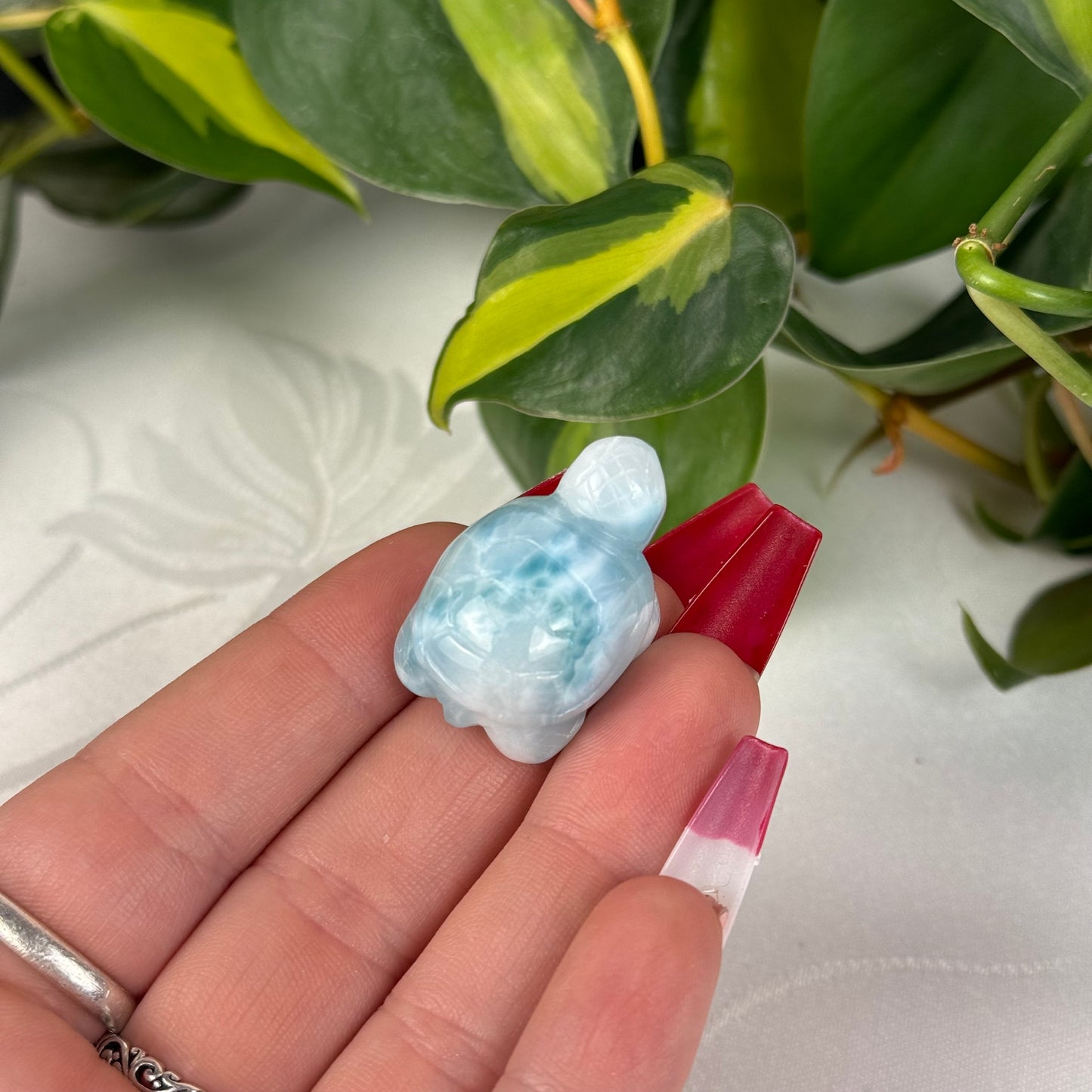 Mini Larimar Turtle