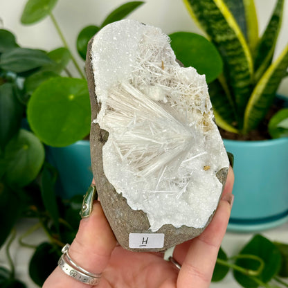 Scolecite Specimen